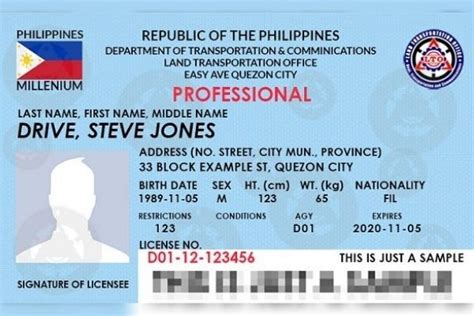 Here’s your guide to Pro Driver's License requirements in 2020.